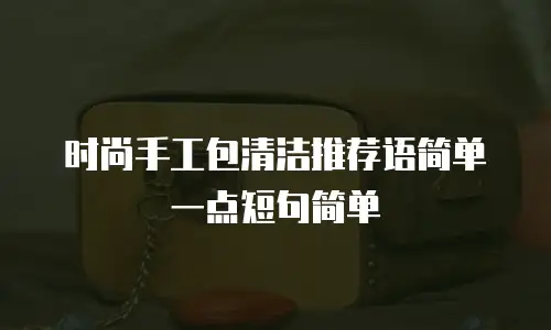 时尚手工包清洁推荐语简单一点短句简单