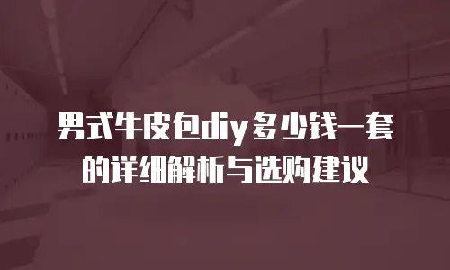 男式牛皮包diy多少钱一套的详细解析与选购建议
