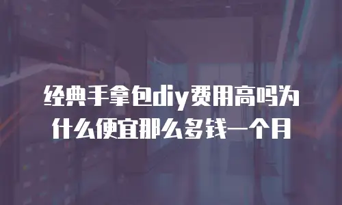 经典手拿包diy费用高吗为什么便宜那么多钱一个月