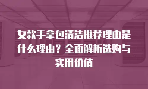 女款手拿包清洁推荐理由是什么理由？全面解析选购与实用价值