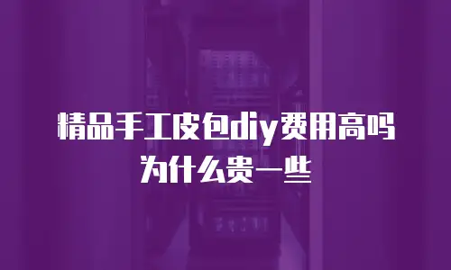精品手工皮包diy费用高吗为什么贵一些