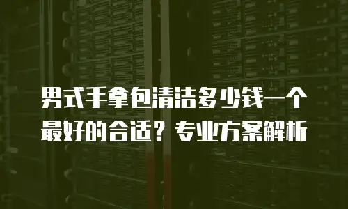 男式手拿包清洁多少钱一个最好的合适？专业方案解析
