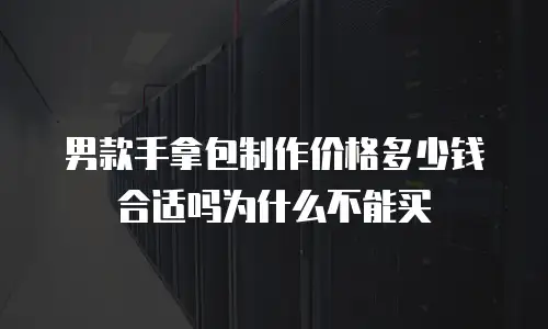 男款手拿包制作价格多少钱合适吗为什么不能买