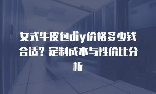 女式牛皮包diy价格多少钱合适？定制成本与性价比分析