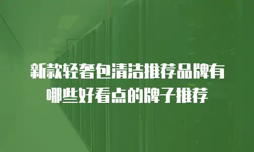 新款轻奢包清洁推荐品牌有哪些好看点的牌子推荐