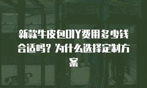 新款牛皮包DIY费用多少钱合适吗？为什么选择定制方案