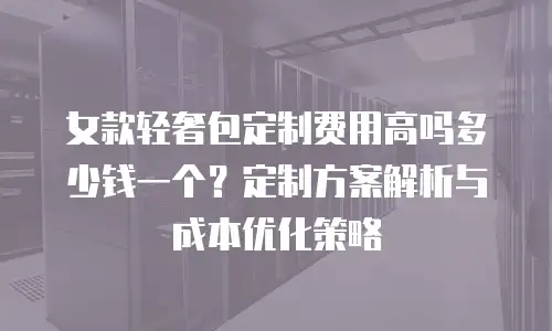 女款轻奢包定制费用高吗多少钱一个？定制方案解析与成本优化策略