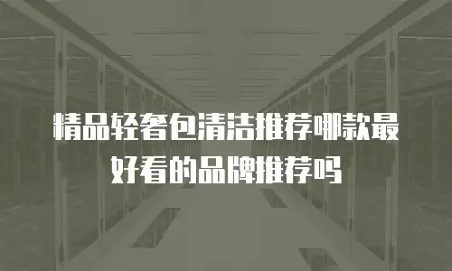 精品轻奢包清洁推荐哪款最好看的品牌推荐吗