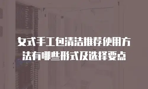 女式手工包清洁推荐使用方法有哪些形式及选择要点