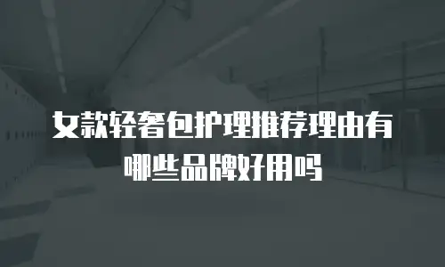 女款轻奢包护理推荐理由有哪些品牌好用吗