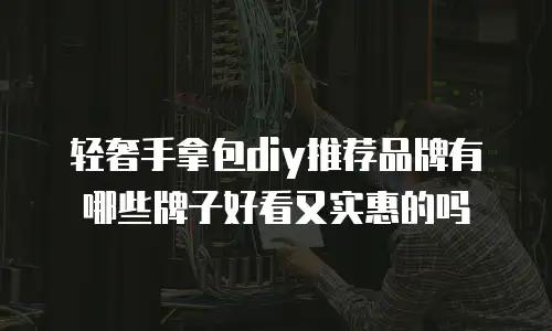 轻奢手拿包diy推荐品牌有哪些牌子好看又实惠的吗
