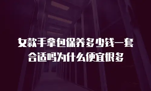 女款手拿包保养多少钱一套合适吗为什么便宜很多