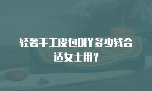 轻奢手工皮包DIY多少钱合适女士用？