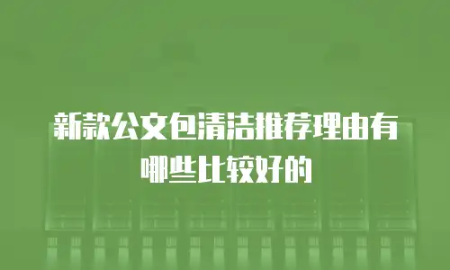 新款公文包清洁推荐理由有哪些比较好的
