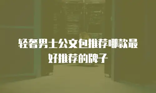 轻奢男士公文包推荐哪款最好推荐的牌子