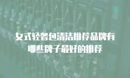 女式轻奢包清洁推荐品牌有哪些牌子最好的推荐