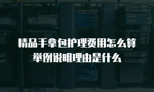 精品手拿包护理费用怎么算举例说明理由是什么