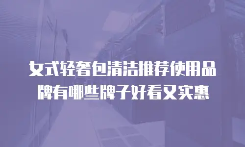 女式轻奢包清洁推荐使用品牌有哪些牌子好看又实惠
