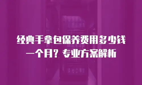 经典手拿包保养费用多少钱一个月？专业方案解析