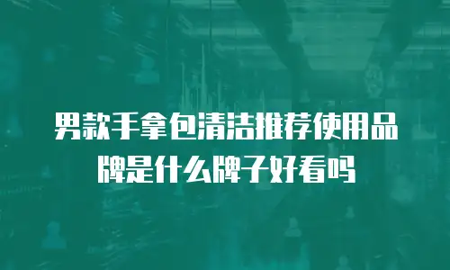 男款手拿包清洁推荐使用品牌是什么牌子好看吗