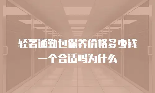 轻奢通勤包保养价格多少钱一个合适吗为什么