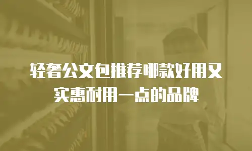 轻奢公文包推荐哪款好用又实惠耐用一点的品牌