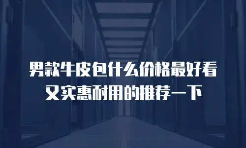 男款牛皮包什么价格最好看又实惠耐用的推荐一下