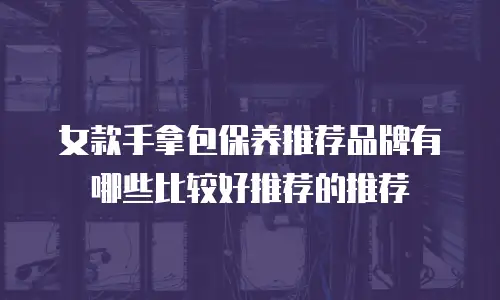 女款手拿包保养推荐品牌有哪些比较好推荐的推荐