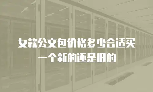 女款公文包价格多少合适买一个新的还是旧的
