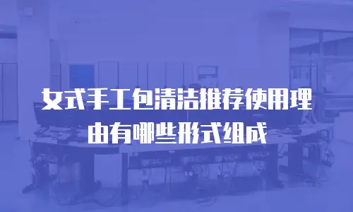 女式手工包清洁推荐使用理由有哪些形式组成