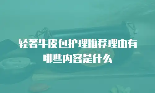 轻奢牛皮包护理推荐理由有哪些内容是什么
