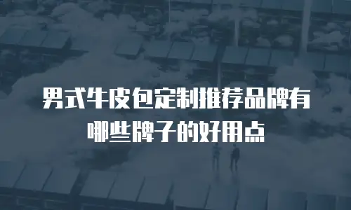 男式牛皮包定制推荐品牌有哪些牌子的好用点