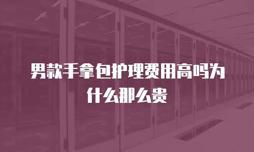 男款手拿包护理费用高吗为什么那么贵
