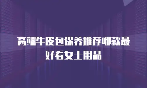 高端牛皮包保养推荐哪款最好看女士用品