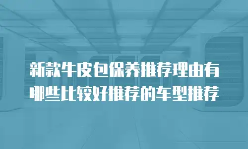新款牛皮包保养推荐理由有哪些比较好推荐的车型推荐