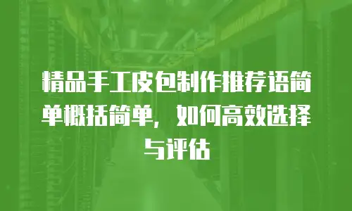 精品手工皮包制作推荐语简单概括简单，如何高效选择与评估