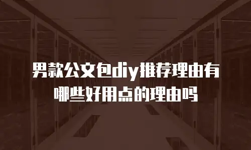 男款公文包diy推荐理由有哪些好用点的理由吗