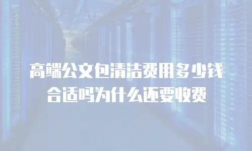 高端公文包清洁费用多少钱合适吗为什么还要收费