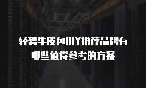 轻奢牛皮包DIY推荐品牌有哪些值得参考的方案