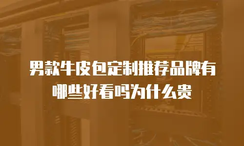 男款牛皮包定制推荐品牌有哪些好看吗为什么贵