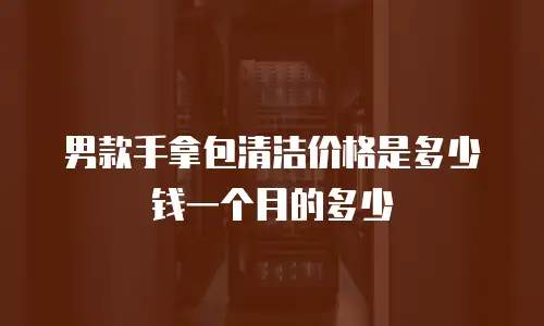男款手拿包清洁价格是多少钱一个月的多少