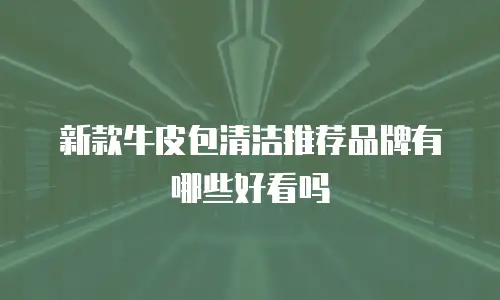 新款牛皮包清洁推荐品牌有哪些好看吗