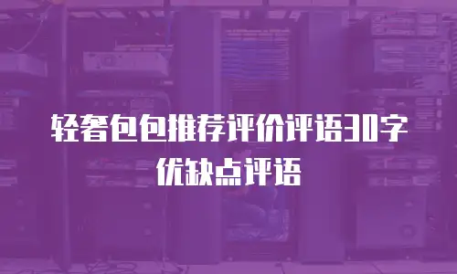 轻奢包包推荐评价评语30字优缺点评语