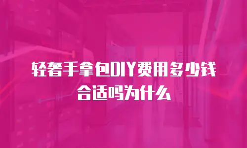 轻奢手拿包DIY费用多少钱合适吗为什么