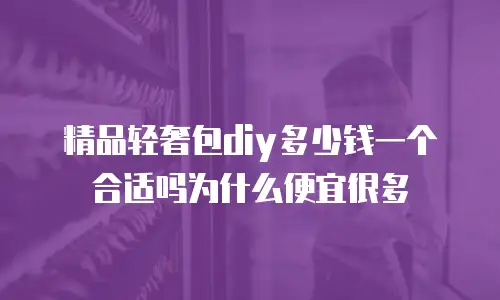 精品轻奢包diy多少钱一个合适吗为什么便宜很多