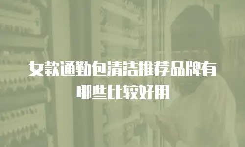 女款通勤包清洁推荐品牌有哪些比较好用