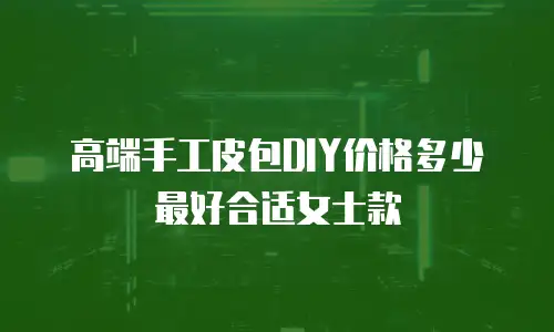 高端手工皮包DIY价格多少最好合适女士款