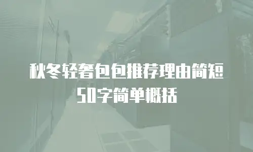 秋冬轻奢包包推荐理由简短50字简单概括