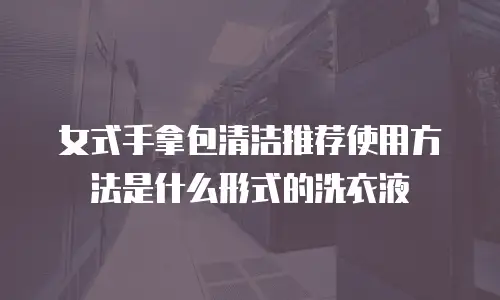 女式手拿包清洁推荐使用方法是什么形式的洗衣液