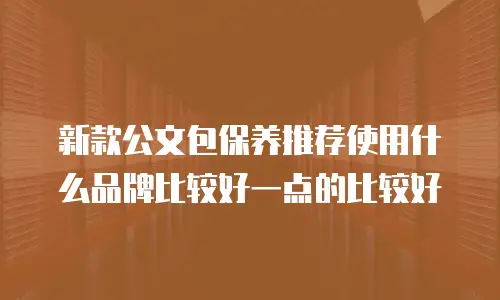 新款公文包保养推荐使用什么品牌比较好一点的比较好